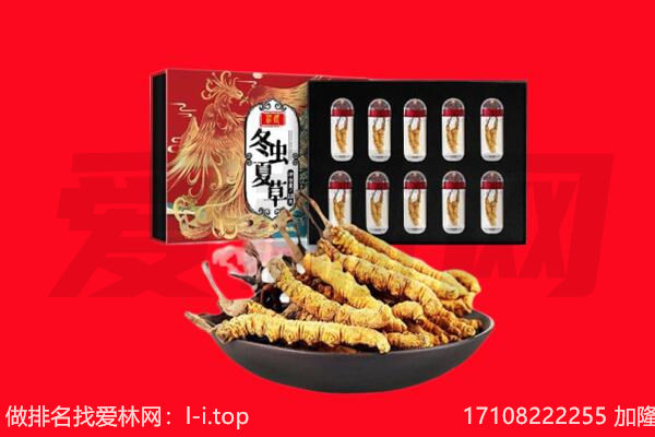 天津河西区回收虫草.jpg
